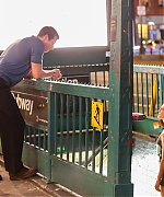 Filename=061.jpg
Filesize=1123KiB
Dimensions=2048x1366
Date added=13.11.25 061.jpg